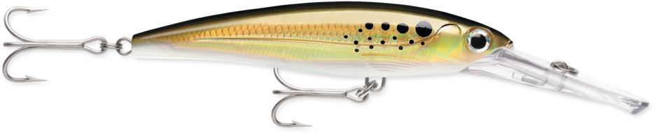 Rapala X-Rap® Magnum®