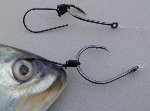 Ultimate Bait Bridle