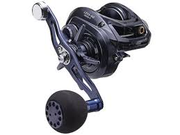 Daiwa Lexa HD 300 Baitcasting Reel