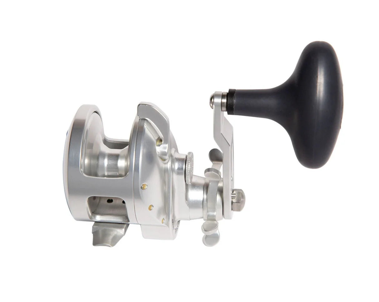 Accurate Tern 2 Conventional Reel