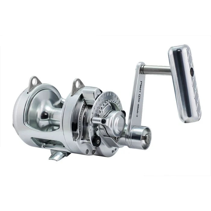 Accurate Platinum Twin Drag Conventional Reel