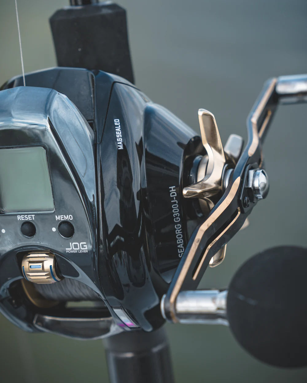 Daiwa 24 SEABORG™ 300J-DH Electric Reel